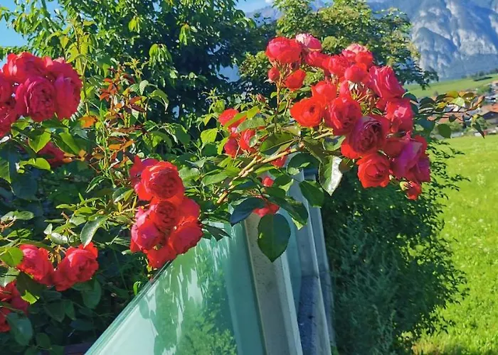 Salzmann * Innsbruck